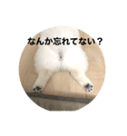まるいおもち。（個別スタンプ：33）