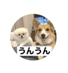 まるいおもち。（個別スタンプ：34）