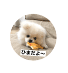 まるいおもち。（個別スタンプ：36）