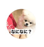 まるいおもち。（個別スタンプ：37）
