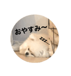 まるいおもち。（個別スタンプ：38）