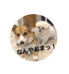 まるいおもち。（個別スタンプ：39）