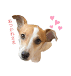 Jackの日常会話（個別スタンプ：5）