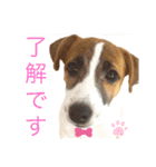Jackの日常会話（個別スタンプ：10）