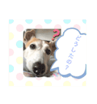 Jackの日常会話（個別スタンプ：11）