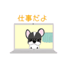 飛び出す 夏のふれぶるわんこ うめさん（個別スタンプ：4）