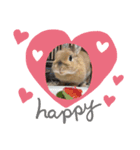 rabbit kinako and rin and an（個別スタンプ：2）