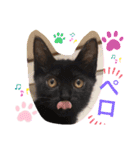猫ちゃん達(^^)（個別スタンプ：9）