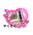 猫ちゃん達(^^)（個別スタンプ：12）