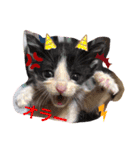 猫ちゃん達(^^)（個別スタンプ：14）