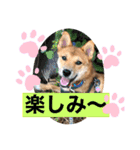 りょうつの使えるスタンプ3（個別スタンプ：7）