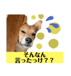りょうつの使えるスタンプ3（個別スタンプ：8）