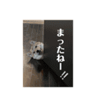 りょうつの使えるスタンプ3（個別スタンプ：24）