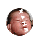 saku17②（個別スタンプ：16）