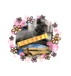 ももちゃんとノワールくん（個別スタンプ：2）