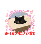 ももちゃんとノワールくん（個別スタンプ：4）