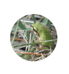 アクマの自然のスタンプ（個別スタンプ：1）