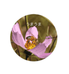 アクマの自然のスタンプ（個別スタンプ：3）