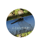 アクマの自然のスタンプ（個別スタンプ：8）
