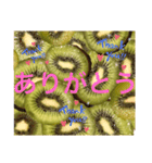 フルーツシリーズ☆キウイ（個別スタンプ：6）
