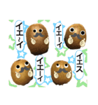 フルーツシリーズ☆キウイ（個別スタンプ：37）
