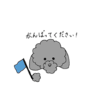 トイきちくん（個別スタンプ：12）