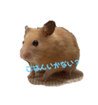 くう＆ころ助（個別スタンプ：8）