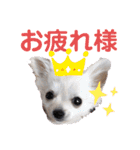ルカスタンプ第一弾！（個別スタンプ：4）