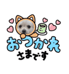 ルカスタンプ第一弾！（個別スタンプ：13）