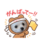 ルカスタンプ第一弾！（個別スタンプ：15）