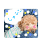 moeno③（個別スタンプ：1）