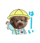 moeno③（個別スタンプ：2）