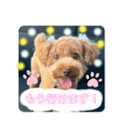 moeno③（個別スタンプ：3）