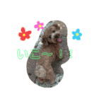 moeno③（個別スタンプ：6）
