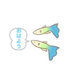 身近な動物図鑑（個別スタンプ：3）