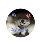 ラブちゃんと空くん（個別スタンプ：4）