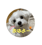 ラブちゃんと空くん（個別スタンプ：6）