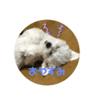 ラブちゃんと空くん（個別スタンプ：7）
