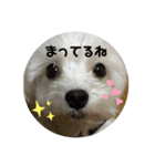 ラブちゃんと空くん（個別スタンプ：8）
