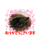 クサガメのしずく（個別スタンプ：6）