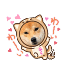柴犬ふくの日常スタンプ第4弾♪♪（個別スタンプ：20）