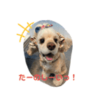 でにむすたんぷ（個別スタンプ：1）