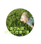でにむすたんぷ（個別スタンプ：9）