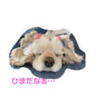 でにむすたんぷ（個別スタンプ：11）