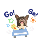 Niko kun's Happy Days（個別スタンプ：3）