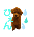 推しのむーたん（個別スタンプ：3）