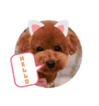推しのむーたん（個別スタンプ：9）