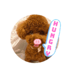 推しのむーたん（個別スタンプ：10）