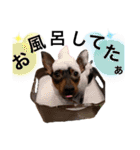 ミニピン りっくん5（個別スタンプ：4）