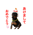 ミニピン りっくん5（個別スタンプ：9）
